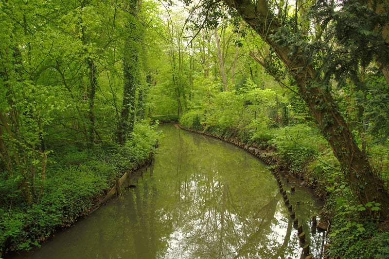 Green Oasis