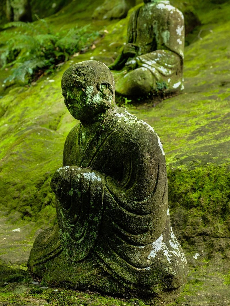 Compassion