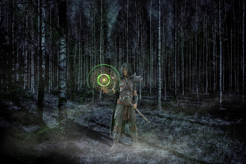 Wizard's Grove